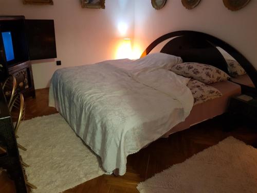 Balkan - Location saisonnière - Sremska Mitrovica