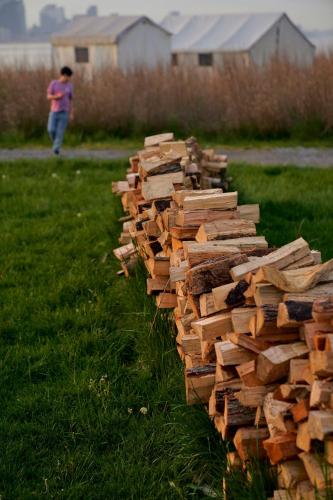 Collective Governors Island in New York, USA