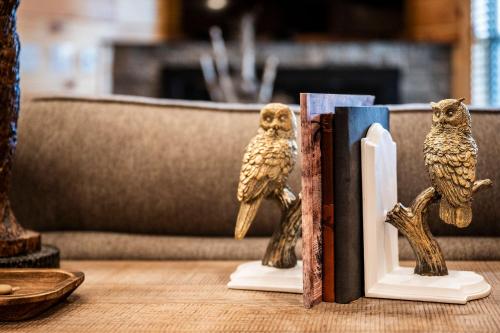 Rustic Modern Mountain Cabin by Avada Properties, Pigeon Forge (photo 7)