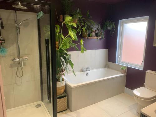 3 bedroom house- East Belfast in Sydenham