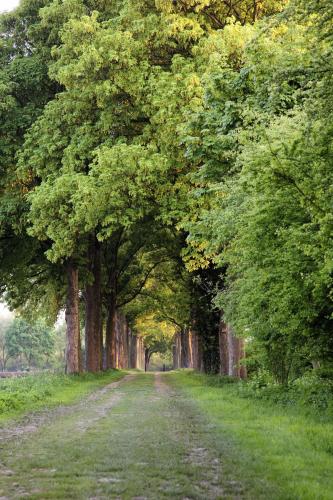 Bilderberg Château Holtmühle - image 2