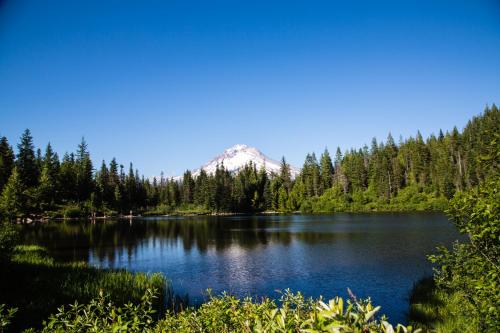 . Mount Hood Village Premium Yurt 4