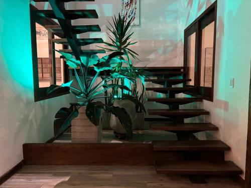 Deluxe Villa image 3