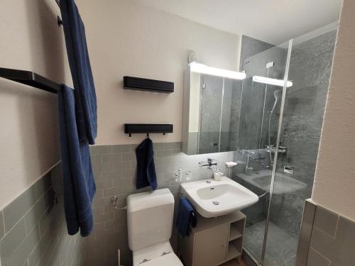 Central, newly renovated 2-room apartment, Engelberg (Foto 6)