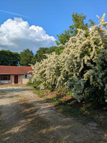 Gite en quercy in 卡斯泰爾諾蒙特拉蒂耶