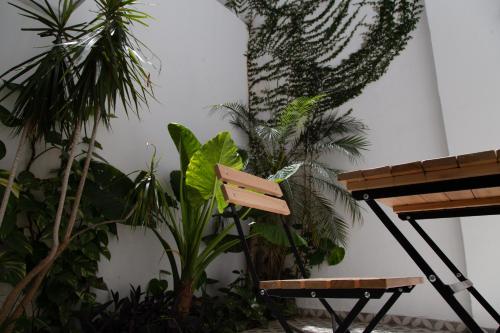Corema Beautiful Studio, Buenos Aires (photo 10)