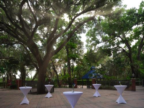 Hilton Garden Inn Tampa East/Brandon - image 20