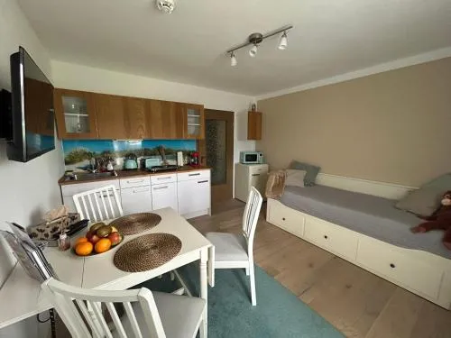 Ferienwohnung im Fichtelgebirge - nahe der Skipiste mit Balkon & Free Parking in Mehlmeisel, Deutschland