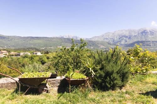 Apartman Delać - image 5