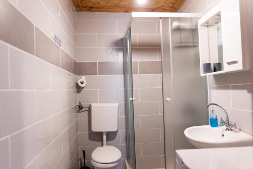 Apartman Delać - image 13