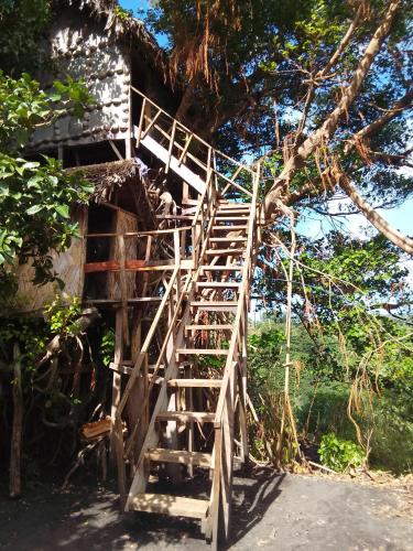 Bird view bungalows in Santo