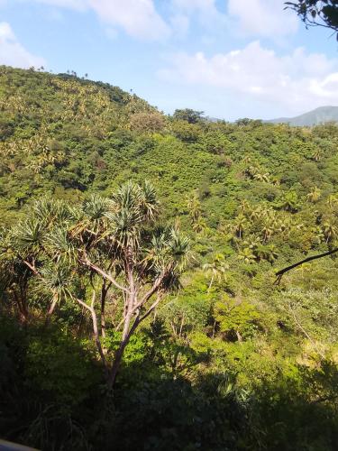 Bird view bungalows in Santo