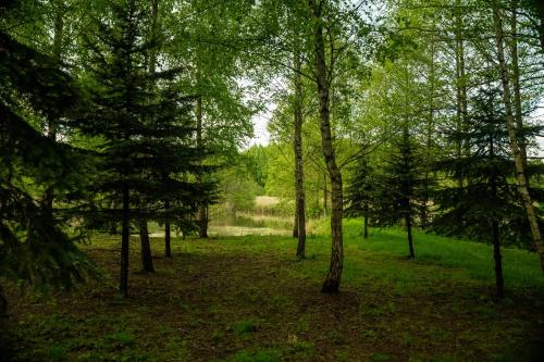 Stacja Natura