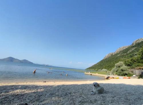 Ivan's Holiday Home in Godinje