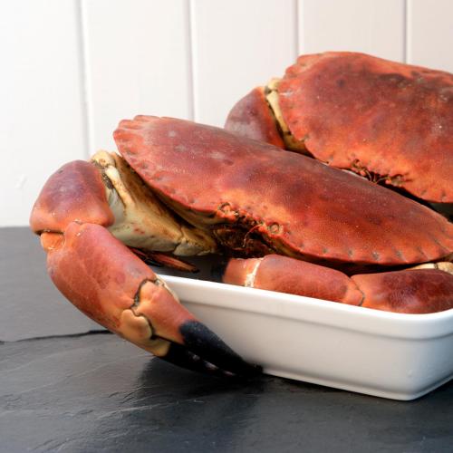 Cary Arms & Spa - image 11