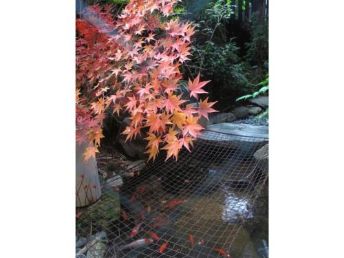 Matsubaya Ryokan - Vacation STAY 05187v 2
