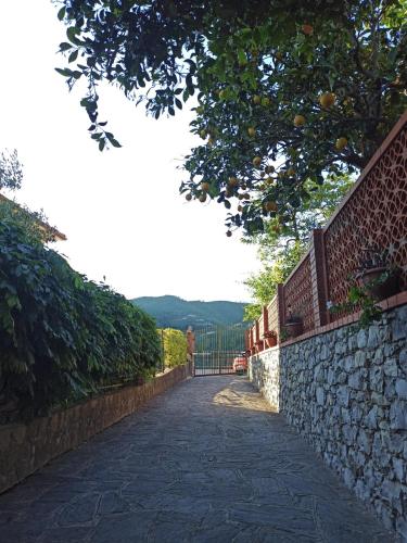  Il Glicine cozy appartamnent, near Sestri Levante between Cinque terre e Portofino in Casarza Ligure