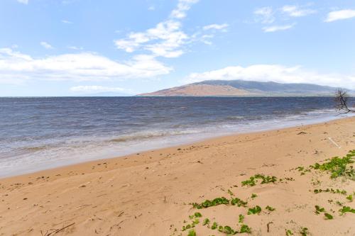 Gorgeous Oceanfront Condo with Spectacular Views! - image 2