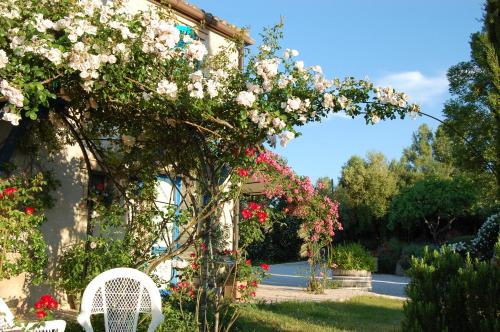 Kert, B&B Vento di Rose in Monterubbiano