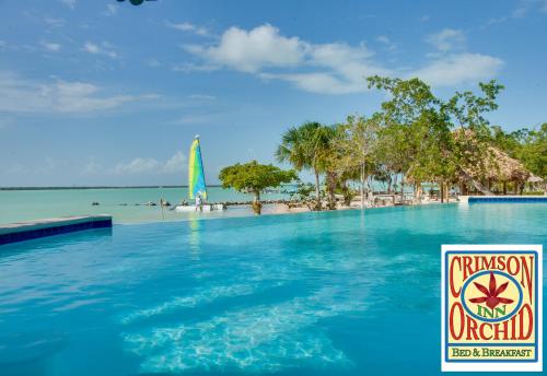playa, The Crimson Orchid Inn at Orchid Bay in Orchid Bay