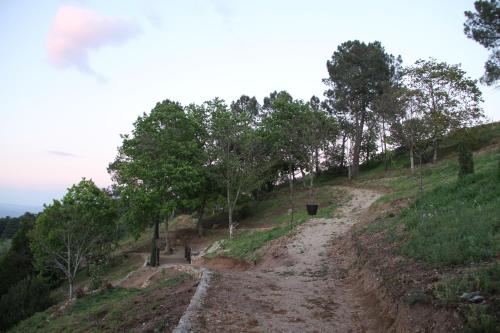 Camping Lamego Douro Valley