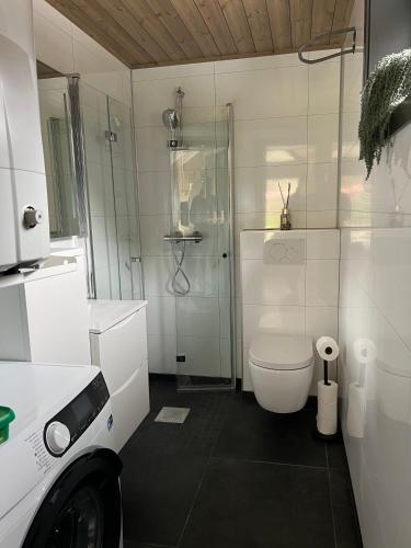 Fürdőszoba, Flåm Minisuite (Flam Minisuite) in Flam