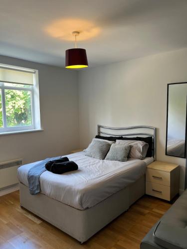 Manchester City Apartment, Manchester (fotografie 10)
