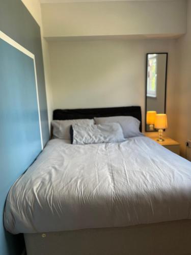 Manchester City Apartment, Manchester (fotografie 7)