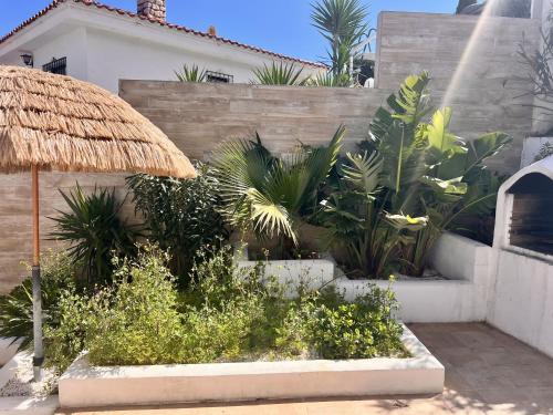 Casa Ibicenca - Precioso chalet con piscina - image 2
