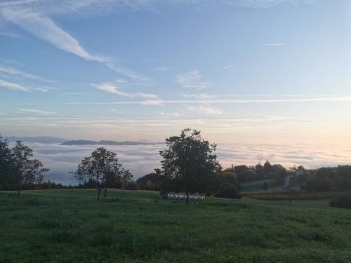 Alrededores, Vila Vilinka & Vila Native Vilinija resort Village in Mozirje