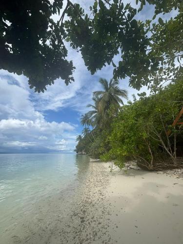 Intum Homestay in Kri