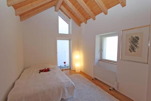 Rustico Al Stradon by HolAp SA in Avegno