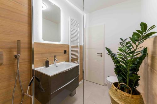Modernes-Apartment-Elbkiez-im-Herzen-von-Dresden, Drážďany (fotografie 7)