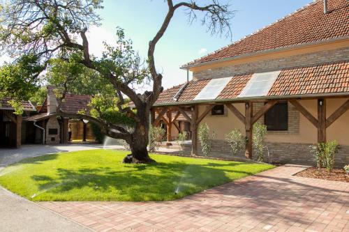 Vadvirág Apartman Gyula - Location saisonnière - Gyula