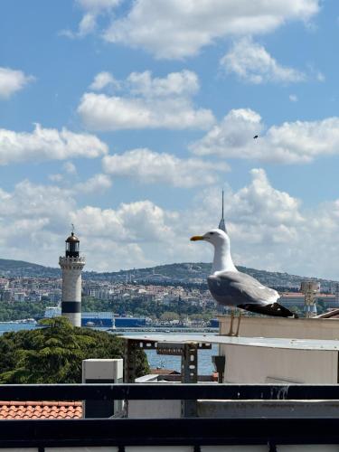 Hotel Ipekyolu, Istanbul (fotografie 4)