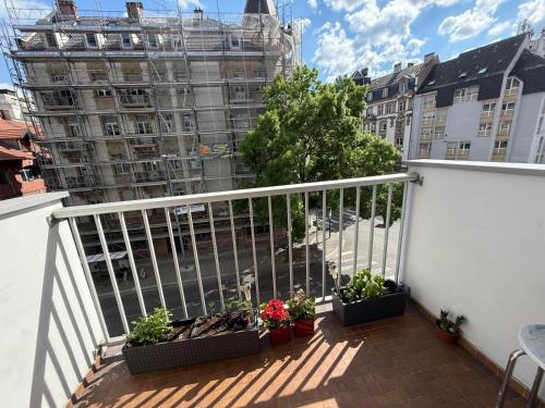 Petite France avec 1 Parking, Strasbourg (photo 5)