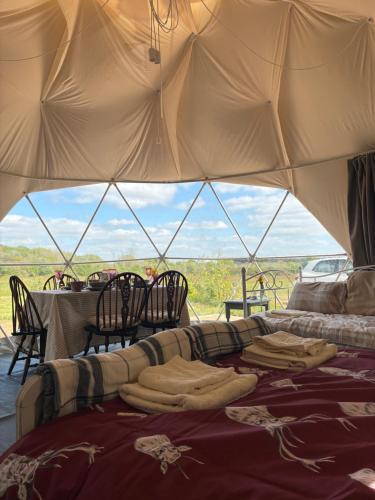 Dyers Meadows Camping in พาร์คแฮม
