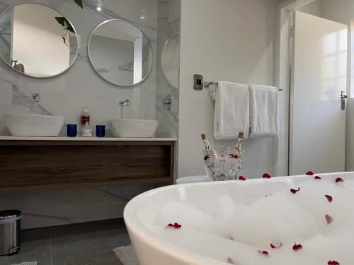 Alveston Manor Room Type - Executive Suite