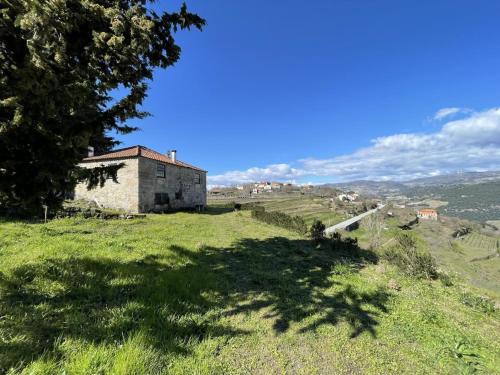 Casa do Vale - Douro Valley Cottage, Resende (fotografie 8)