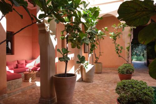Villa JENAMAN - image 4