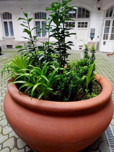 Like Studio City Centrum, WiFi, Terrace 2