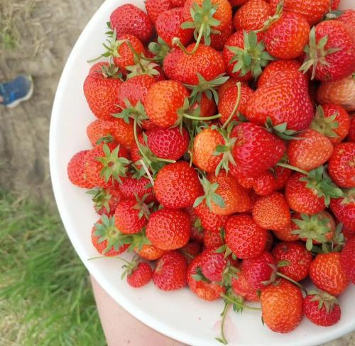 Relaxing Days at Renaissance Castle - 2BR in Ilz