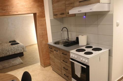 Modern Apartment with Jacuzzi in Novi Sad Center - image 5