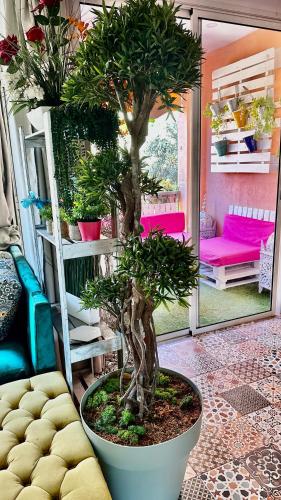 Un Havre de paix a Ricoflores