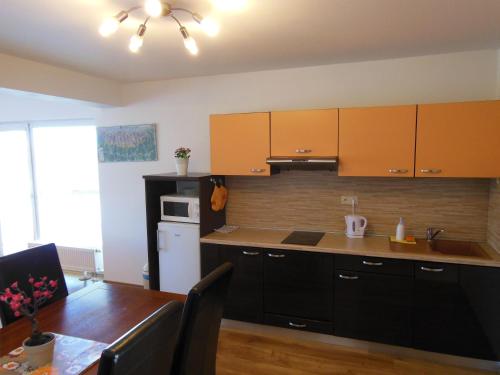 廚房, APARTMAN SLAVKOV home & parking in 羅瓦萊斯那