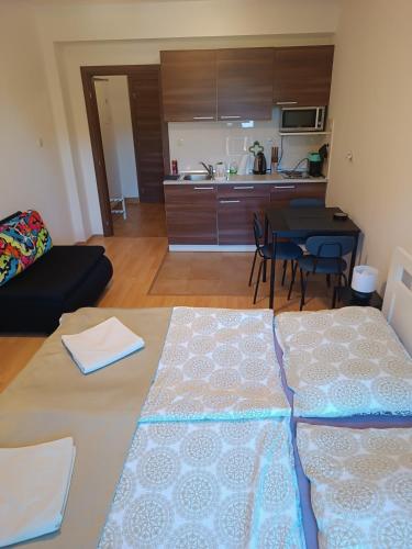 Apartmán Kamzík Donovaly (Apartman Kamzik Donovaly) in โดโนวาลี