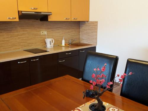 設施, APARTMAN SLAVKOV home & parking in 羅瓦萊斯那