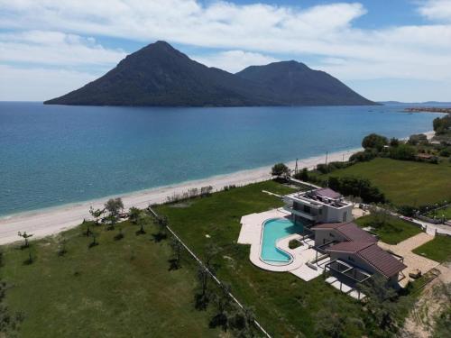 The Olive Grove Escape in Paliovarka