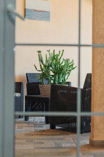 Standard Suite image 9