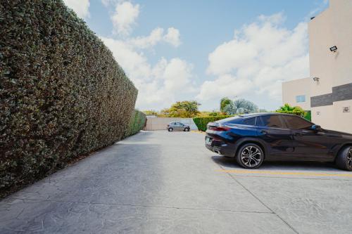One-Bedroom Suite image 1